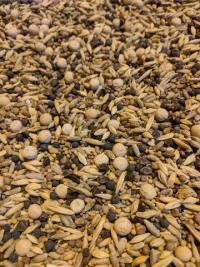 Organic Cover Crops With OMRI listed inoculants
