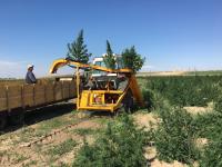KIRPY CBD Hemp and Cananbis Harvester