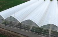 Next Gen Gothic Arch Series Green House