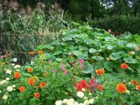 Farm & Garden Supplies 